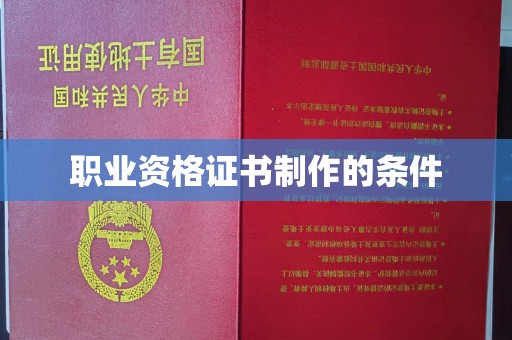 市中区职业资格证书制作的条件